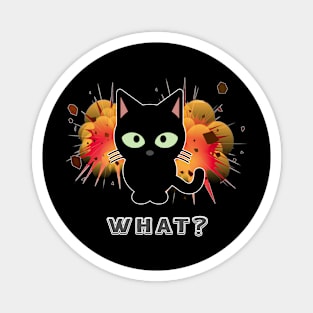 Funny Crazy Black Cat Explosion What? Magnet